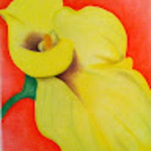 Meet your Posher, Jenia